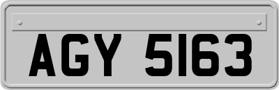 AGY5163