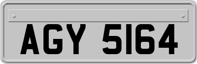 AGY5164