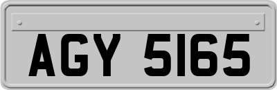AGY5165