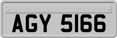 AGY5166