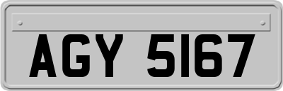 AGY5167