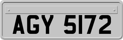 AGY5172