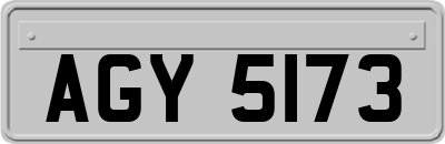 AGY5173