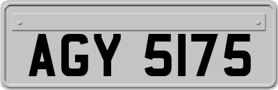 AGY5175