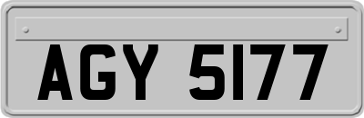 AGY5177