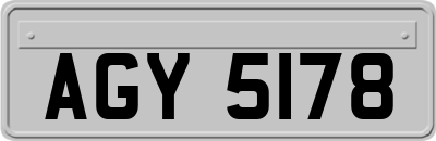 AGY5178