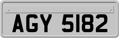 AGY5182