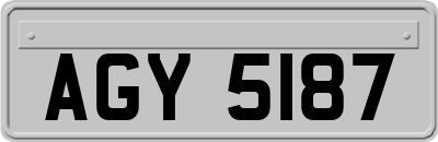 AGY5187