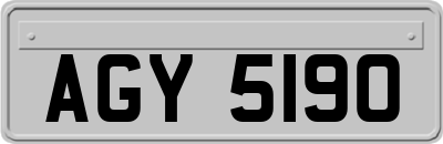 AGY5190