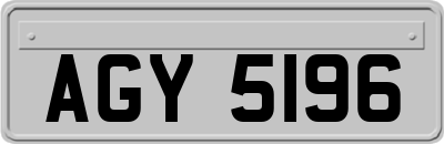 AGY5196