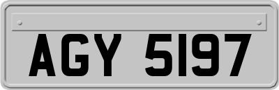 AGY5197