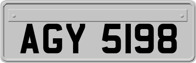 AGY5198