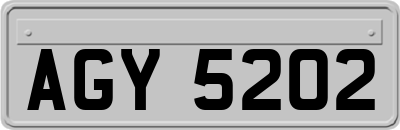 AGY5202