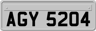 AGY5204