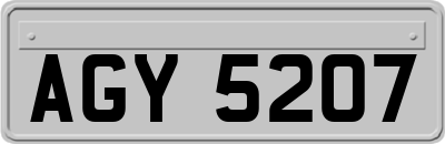AGY5207