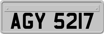 AGY5217