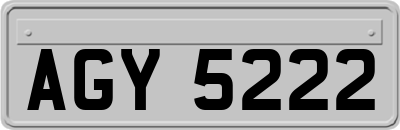 AGY5222