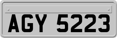 AGY5223