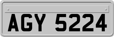 AGY5224