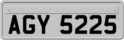 AGY5225