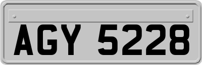 AGY5228