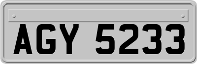 AGY5233