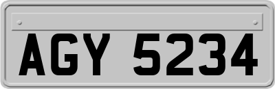 AGY5234