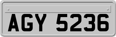 AGY5236