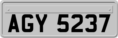 AGY5237