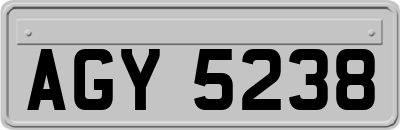 AGY5238
