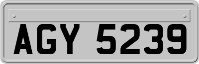 AGY5239