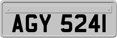 AGY5241