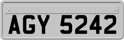 AGY5242