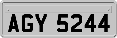 AGY5244