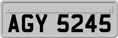 AGY5245