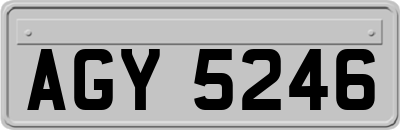 AGY5246