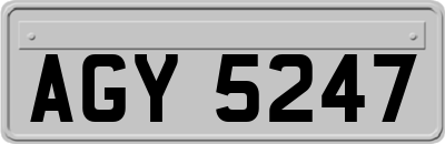 AGY5247