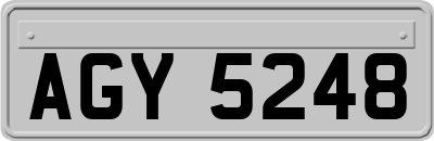 AGY5248