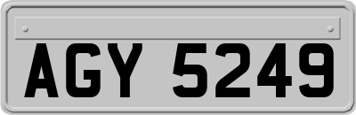 AGY5249