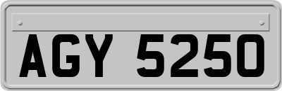 AGY5250
