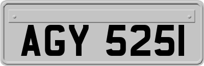 AGY5251