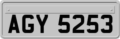 AGY5253