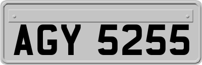 AGY5255