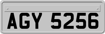 AGY5256