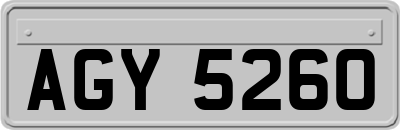 AGY5260
