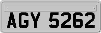 AGY5262