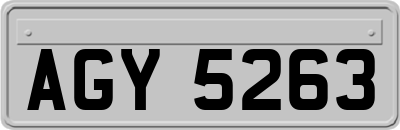 AGY5263