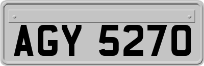 AGY5270