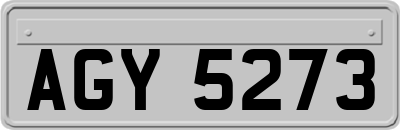 AGY5273