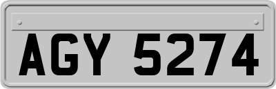 AGY5274